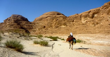 الداخلية: مقتل 3 بينهم شقيق الإرهابى المتورط فى تفجيرات طابا وشرم الشيخ