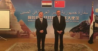 سفير مصر بالصين: دعوة السيسي لحضور قمة العشرين دليل على قوة العلاقات 