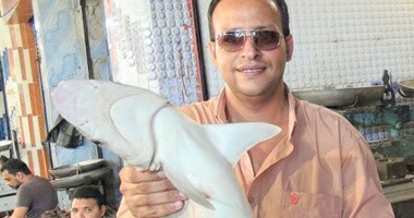 بالصور.. بيع 10 أنواع لأسماك القرش بـ35 جنيها للكيلو فى السويس