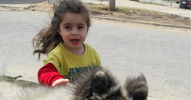سرقة كلب منتج "الفرنجة" من داخل منزله.. والمنتج: مش هسيب حقى