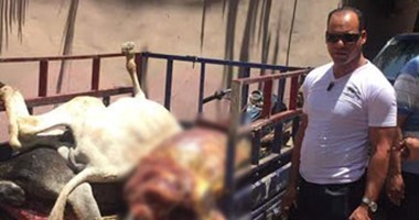 طب بيطرى الشرقية: الحمير المذبوحة بـ"القنايات" بغرض السلخ وليس التجارة 