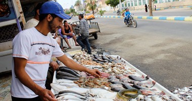 "تموين بورسعيد" : طرح أسماك بأسعار مخفضة الأربعاء والخميس من كل أسبوع