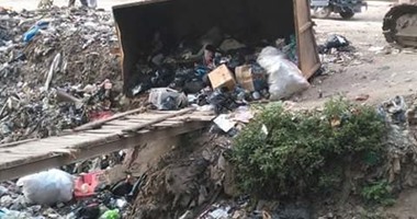 بالصور.. انسداد ترعة برج مغيزل بكفر الشيخ تتسبب فى انتشار الحشرات