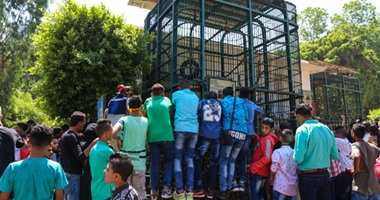 الزراعة: لا خسائر فى حريق كشك بحديقة حيوان الجيزة