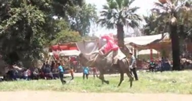 بالفيديو.. فسح الغلابة فى حدائق القناطر .. "جمال و حمير"