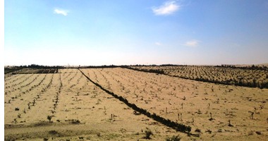 خطة التنمية الاقتصادية.. الحكومة تخصص 5 مليارات جنيه لتنمية شمال سيناء