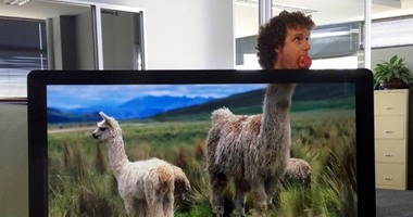 بالصور.. موظفون يبتكرون طريقة تصوير مجنونة للخروج عن روتين العمل