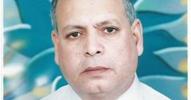 طرح إنشاء 5 مقار حكومية جديدة فى العريش بشمال سيناء