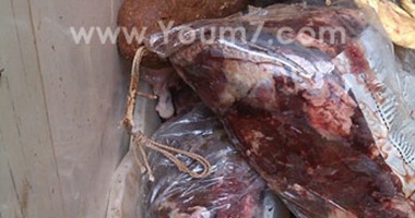 ضبط 110 كيلو لحومًا فاسدة فى أسيوط