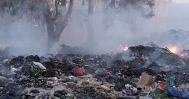 "النور" بدسوق يطالب بإنشاء مصنع لتدوير القمامة للقضاء على حرقها