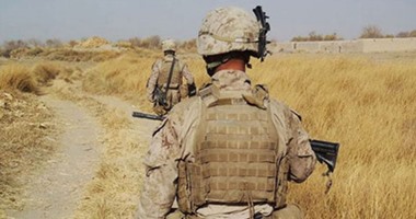 بالصور.. "القطط" الصديق المقرب للجنود أوقات الحرب