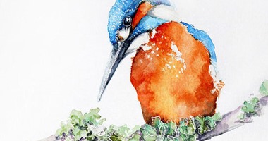 بالصور.. الطاووس والبوم والغراب فى  لوحات رسم مائى