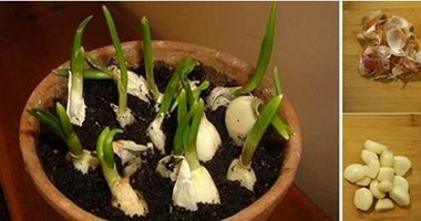خل التفاح والكمادات الدافئة.. أفضل علاجات الناسور الشعرى