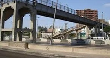 قصة أول كوبرى لعبور المواشى بكفر الحصة على الطريق الزراعى بالقليوبية.. وافق عليه 4 محافظين بعدما قطع الأهالى الطريق أكثر من مرة.. نفذته القوات المسلحة بتكلفة 22 مليون جنيه