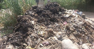 شكوى من إلقاء مخلفات الترعة بطوخ على جنبات الطريق بالقليوبية