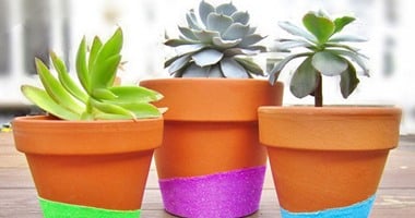 علشان البيت مش بس حيطان.. 4 أفكار ديكور بالزرع هتخلى منزلك له روح