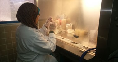 "اليوم السابع" يقضى يوما بمدينة الأبحاث العلمية فى برج العرب.. ويكتشف: أجهزة سليمة مدون عليها "لا تعمل".. والتكييفات المعطلة تفسد التجارب.. وباحثون يشكون ندرة المواد المطلوبة لإنجاز العمل