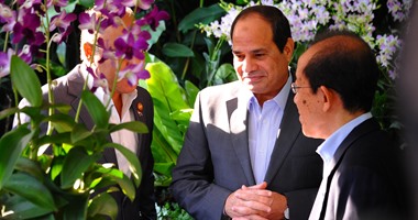 بالصور.. تسمية إحدى زهور "الأوركيد" باسم الرئيس السيسى فى سنغافورة
