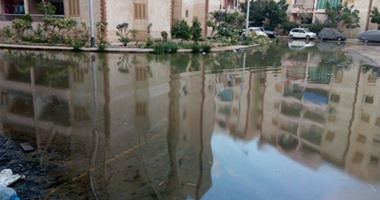 "صحافة المواطن".. منطقة سكنية بـ"سيدى بشر" تغرق فى مياه الصرف الصحى