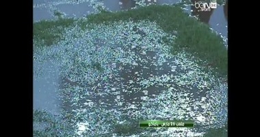 رسميا.. تأجيل مواجهة الترجى والملعب المالى 24 ساعة