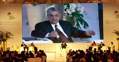 وزير الكهرباء: رفع الدعم عن الطاقة خلال 5 سنوات مع مراعاة محدودى الدخل