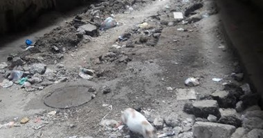 أهالى الحضرة بالإسكندرية يشكون من غلق شارع بأعمال الحفر منذ 25 يوما 