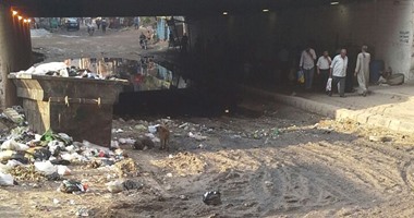 بالصور.. شكاوى من تجمع القمامة ومياه الصرف الصحى أسفل الطريق الدائرى