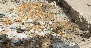 أهالى شارع الغلال بالشرقية يشكون تراكم القمامة والمخلفات
