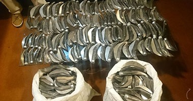 ضبط 539 قطعة سلاح أبيض بحوزة عاطل فى طنطا