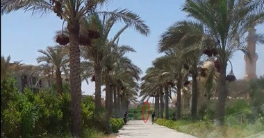 وزارة الداخلية تواجه قوائم الاغتيالات بالحراسات الخاصة.. إعادة تكثيف التواجد الأمنى حول الرموز الوطنية والدينية والإعلاميين وأسرهم.. وأكاديمية الشرطة تؤهل كوادر جديدة لحراسة الشخصيات العامة