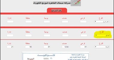 بالإنفوجراف.. استعلم عن فاتورة الكهرباء فى القاهرة والجيزة بسهولة