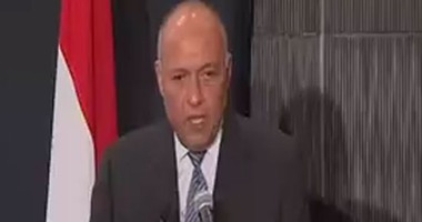 وزير الخارجية: ندعم كل الجهود الدولية لمواجهة الإرهاب أينما حل