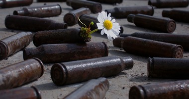 بالصور.."حتى النباتات تعشق الحياة".. لقطات تجسد عبقرية حب البقاء فى أصعب الظروف.. النمو فوق الأسفلت والأسوار.. والتعايش فوق سطح المياه يثبت أن الحرص على الحياة ليس حكراً على الإنسان والحيوان