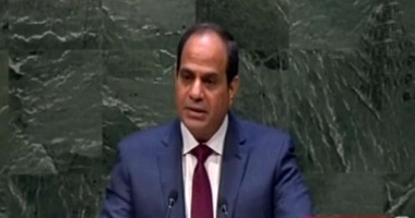 مسئول نيجيرى يؤكد أهمية عقد قمة بين الرئيسين السيسى وجوناثان