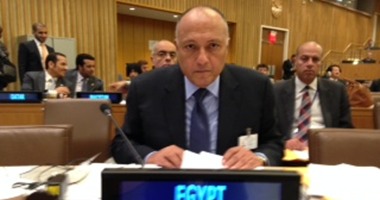 شكرى يستقبل مدير القوة متعددة الجنسيات فى سيناء
