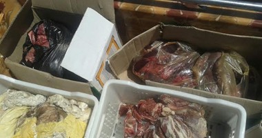 بالصور.. ضبط ربع طن لحوم ودهون فاسدة داخل مصنع لحوم بالإسماعيلية
