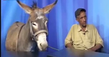 بالفيديو.. إعلامى أردنى يستضيف "حمارا" على الهواء