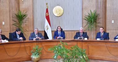 السيسى: "مش معقول نضيع جهد سنة ونص بسبب مشكلة"
