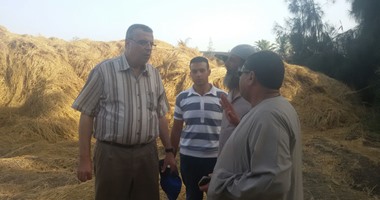 البيئة: نفوق أسماك النيل بالبحيرة لم يؤثر على عمل محطات مياه الشرب