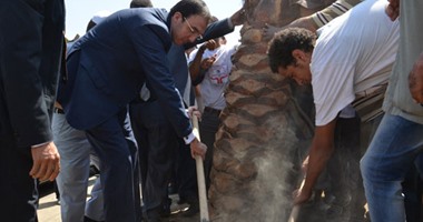 زراعة النخيل بديلاً لأشجار الزينة بالخارجة ومستشفى ميدانى للقوافل الطبية بباريس