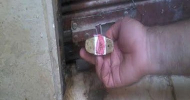 إغلاق 4 محلات بشرق الإسكندرية لعدم وجود تراخيص