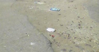 صحافة المواطن.. انشقاقات طريق بالغربية تتسبب فى عجز 3 أشقاء