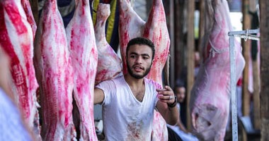 شعبة المستوردين: 10% انخفاض بسعر اللحم المستوردة بعد فتح أسواق للاستيراد