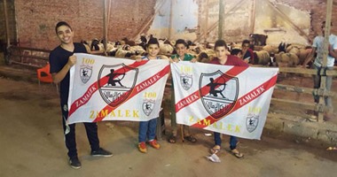 جماهير الزمالك تحتفل بفوز فريقها بالإسكندرية