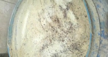 ضبط 240 كيلو جبنة منتهية الصلاحية داخل محل بقالة بالمحلة