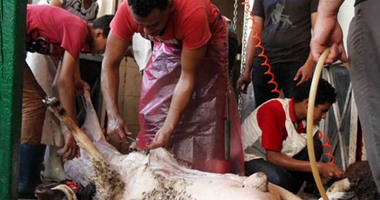 فيديو جراف.. قبل وقفة عرفة.. ما هى صكوك الأضاحى وقيمتها؟