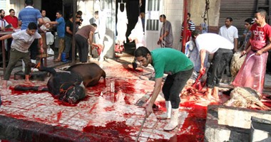 دواوين الوزارات × 24 ساعة.. "الزراعة" تفتح مجازر لحوم بالمجان فى العيد