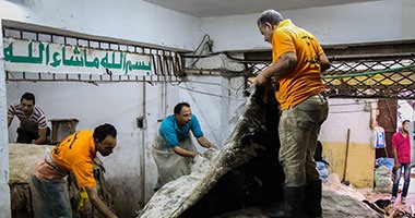 غرفة دباغة الجلود: الرئيس السيسي يزور مدينة الروبيكى الشهر المقبل