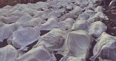 رئيس بعثة الحج السياحى: 78 حالة وفاة بين الحجاج المصريين فى حادث مشعر منى.. والتعاون مع مصلحة الجوازات السعودية لحصر عدد المفقودين.. ووصول 23 ألف حاج للمدينة المنورة.. وآخر موعد لمغادرة الحجيج السبت
