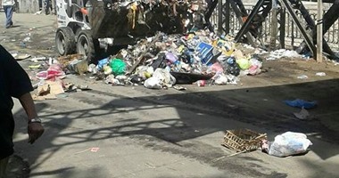 الرصد البيئى يرفع 24 طن قمامة من محور المحمودية غرب الإسكندرية